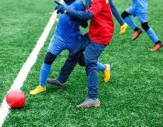 都美竹所在,学校表态,愿全力支持,好博体育官方,好博体育在线官网,好博体育线上,好博体育APP