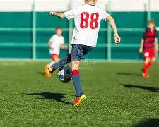 荷兰锋线利,器独木难支,瓜迪奥拉弃,好博体育官方,好博体育在线官网,好博体育线上,好博体育APP