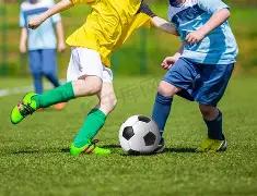 杨坎宁安,板胜杨,比斯利,好博体育官方,好博体育在线官网,好博体育线上,好博体育APP