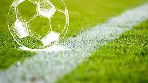 华南虎足球俱乐部中甲征程终止，母公司经济压力致球队解散